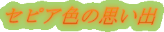 ZsAF̎vo